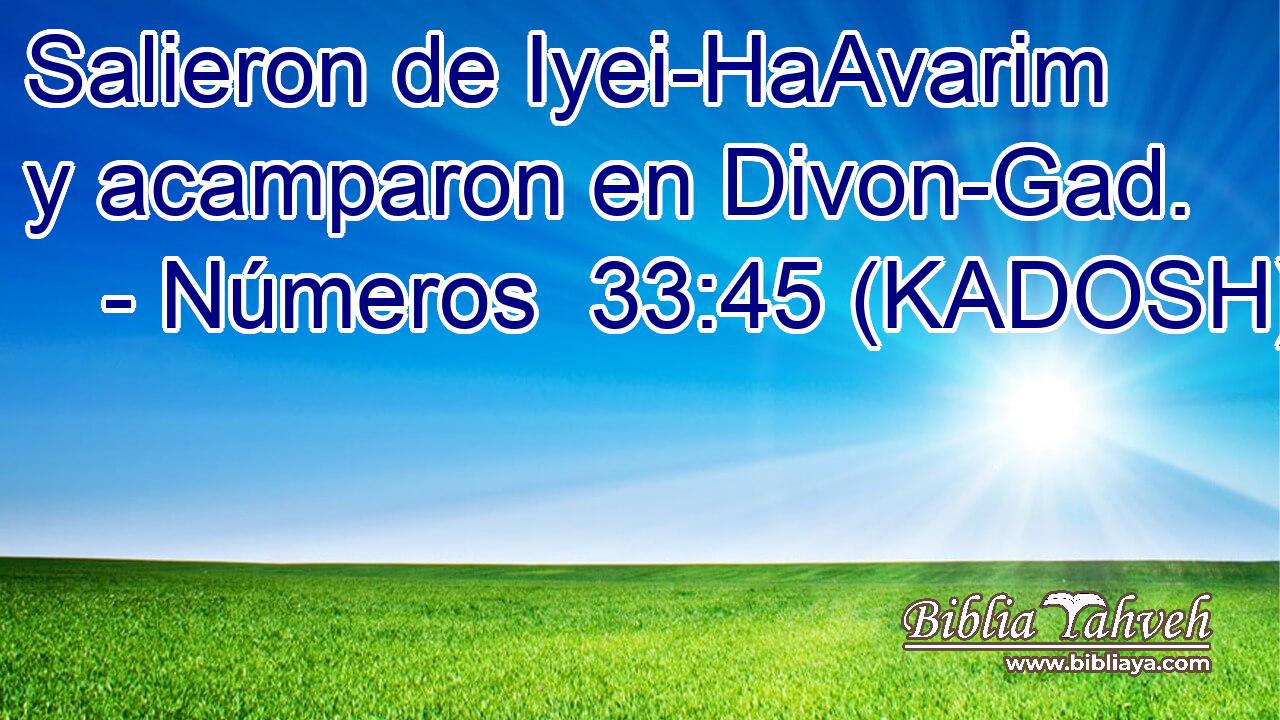  Salieron de Iyei-HaAvarim y acamparon en Divon-Gad. 