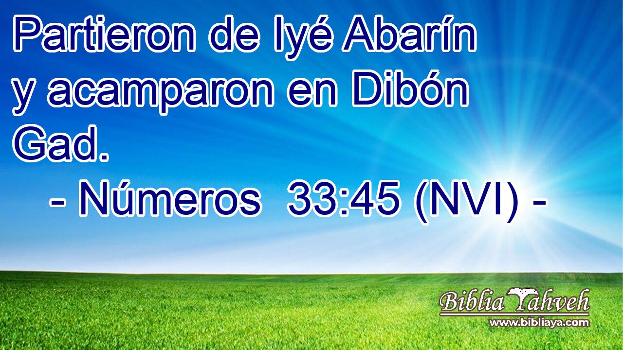  Partieron de Iyé Abarín y acamparon en Dibón Gad. 