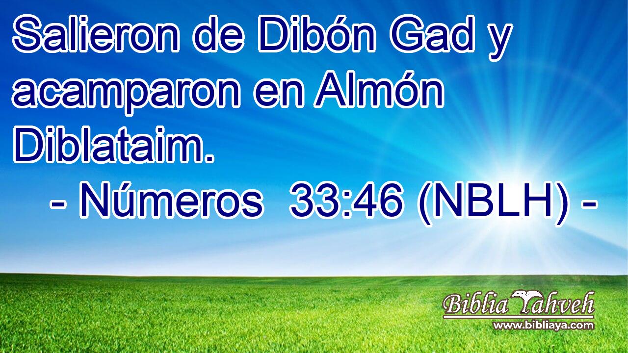  Salieron de Dibón Gad y acamparon en Almón Diblataim. 