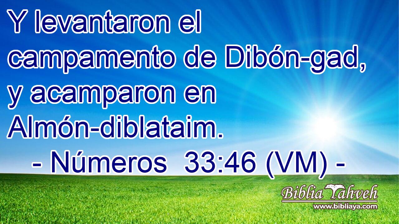  Y levantaron el campamento de Dibón-gad, y acamparon en Almón-diblataim. 