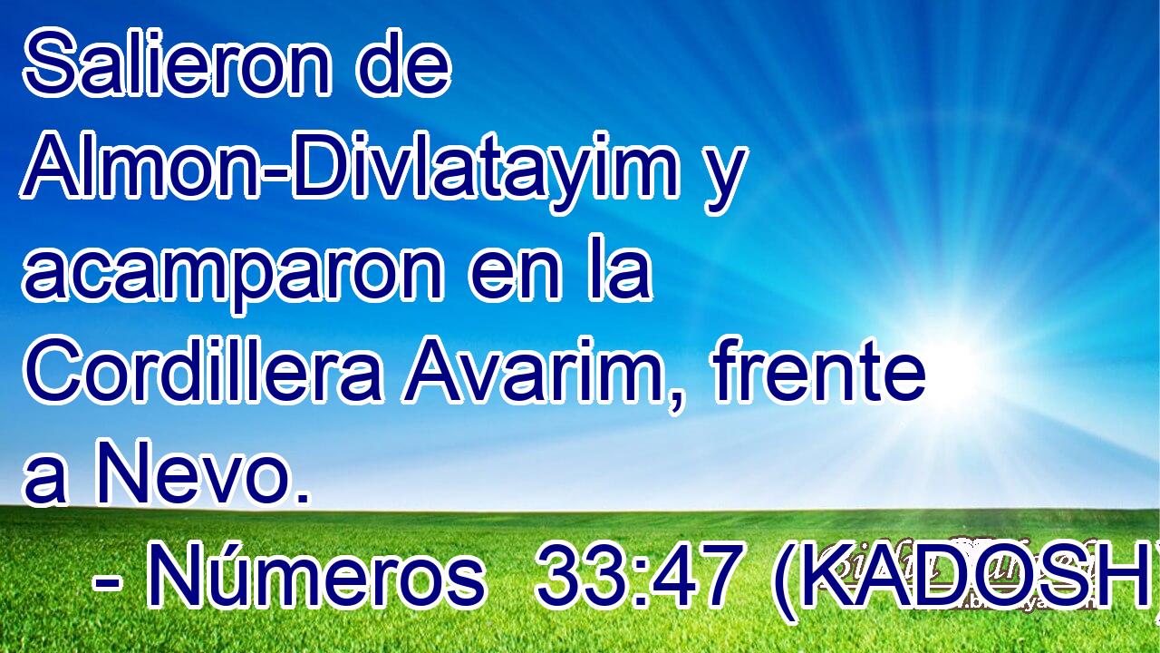  Salieron de Almon-Divlatayim y acamparon en la Cordillera Avarim, frente a Nevo. 