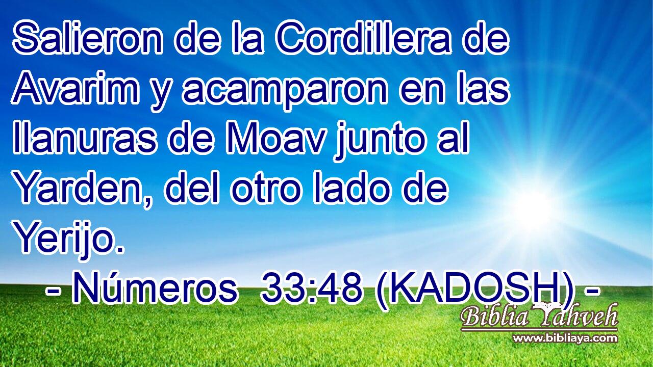  Salieron de la Cordillera de Avarim y acamparon en las llanuras de Moav junto al Yarden, del otro lado de Yerijo. 