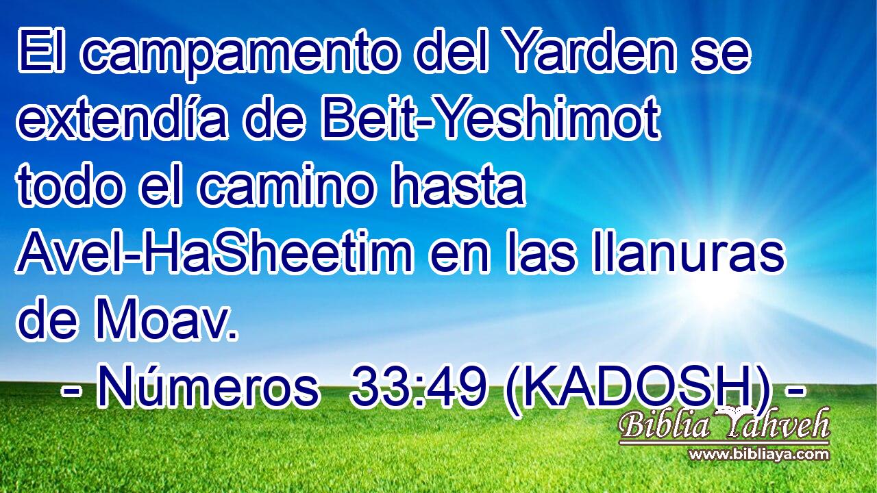  El campamento del Yarden se extendía de Beit-Yeshimot todo el camino hasta Avel-HaSheetim en las llanuras de Moav. 