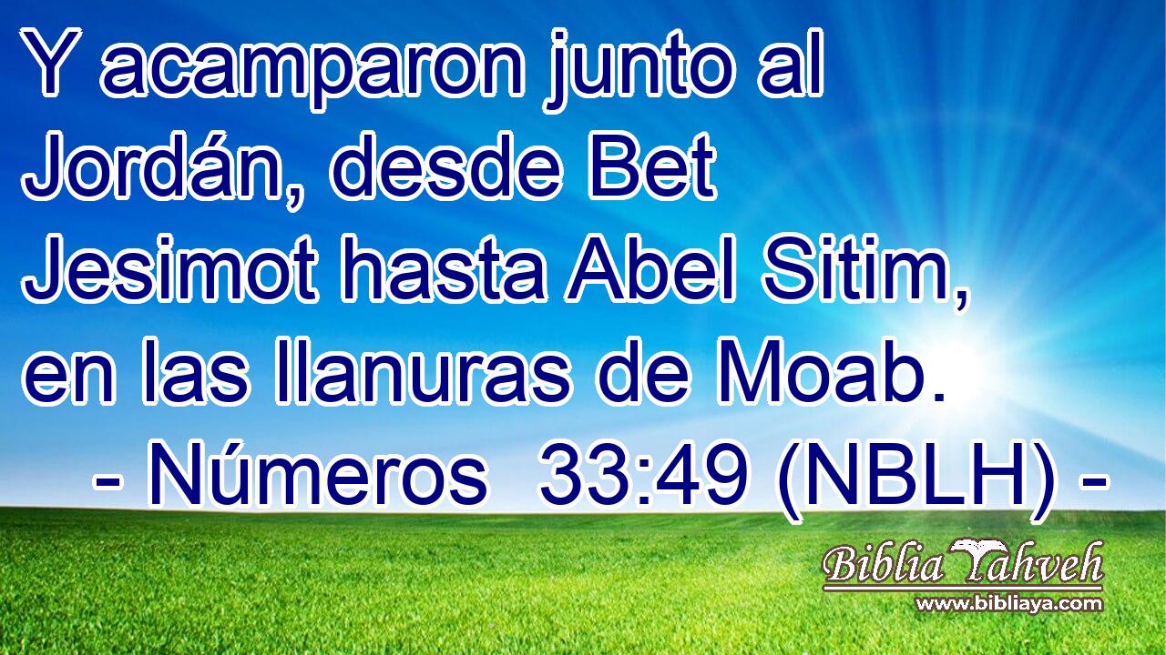  Y acamparon junto al Jordán, desde Bet Jesimot hasta Abel Sitim, en las llanuras de Moab. 