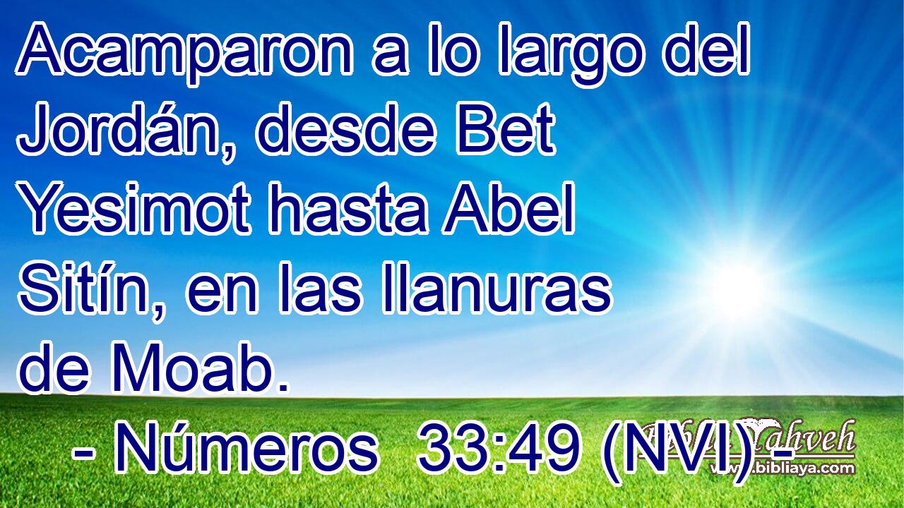  Acamparon a lo largo del Jordán, desde Bet Yesimot hasta Abel Sitín, en las llanuras de Moab. 