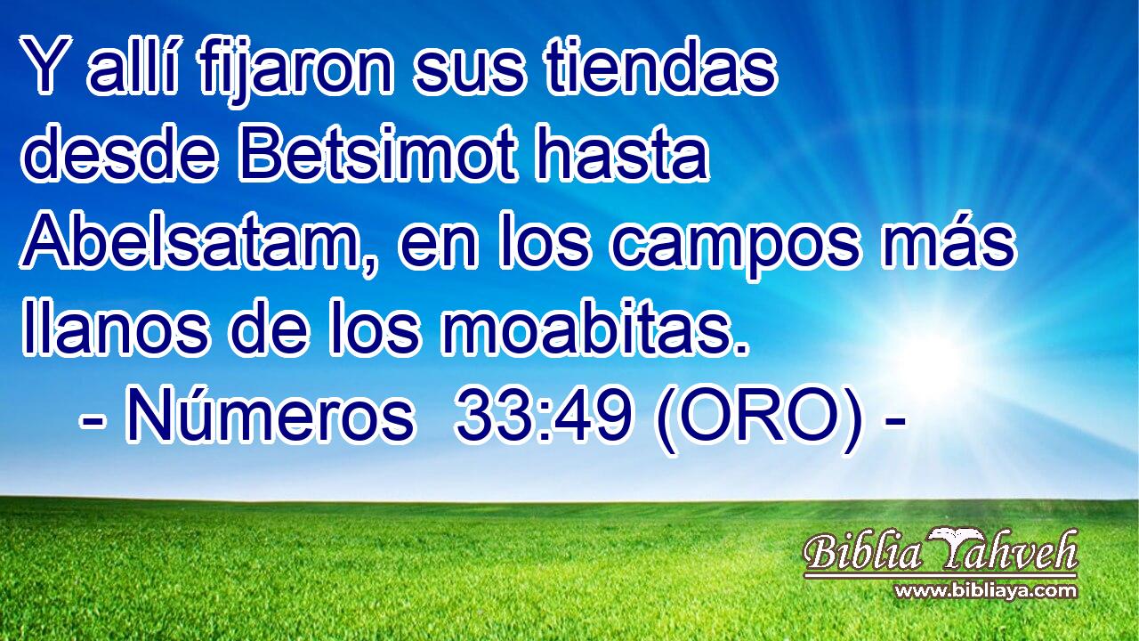  Y allí fijaron sus tiendas desde Betsimot hasta Abelsatam, en los campos más llanos de los moabitas. 
