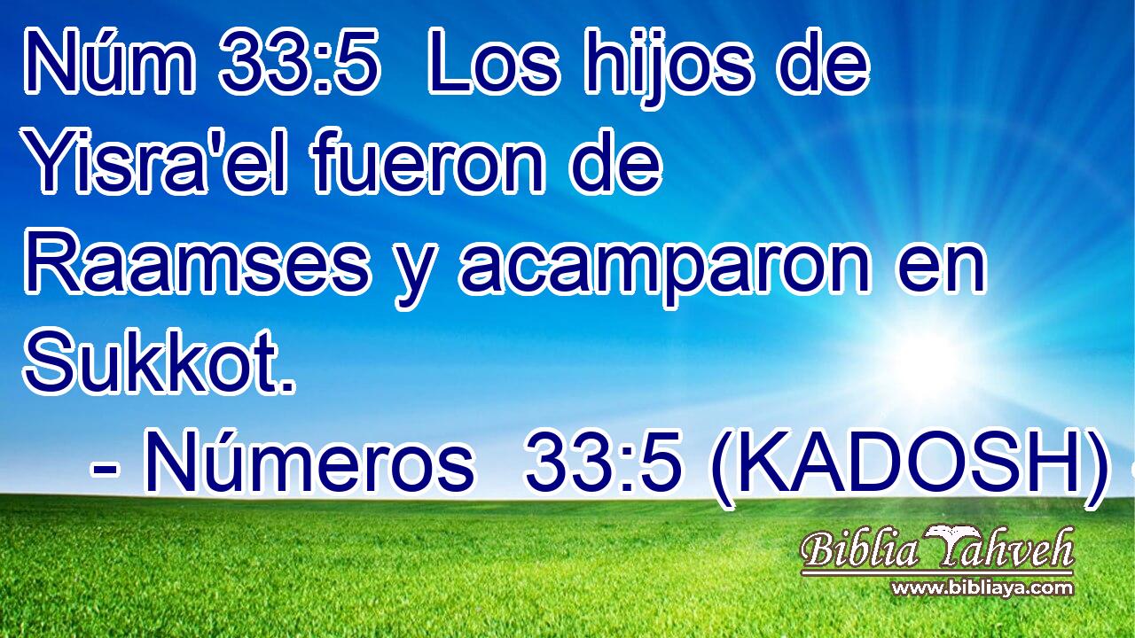  Los hijos de Yisra'el fueron de Raamses y acamparon en Sukkot. 