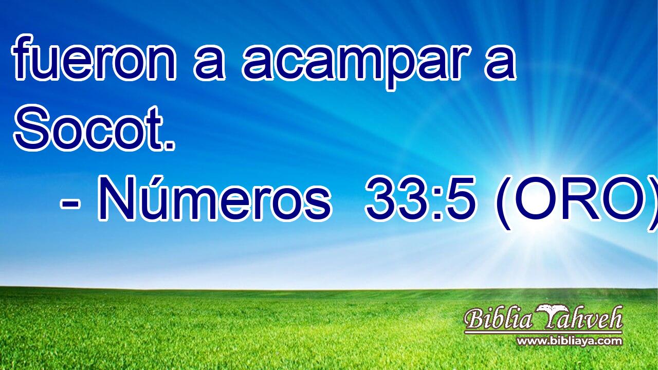  fueron a acampar a Socot. 