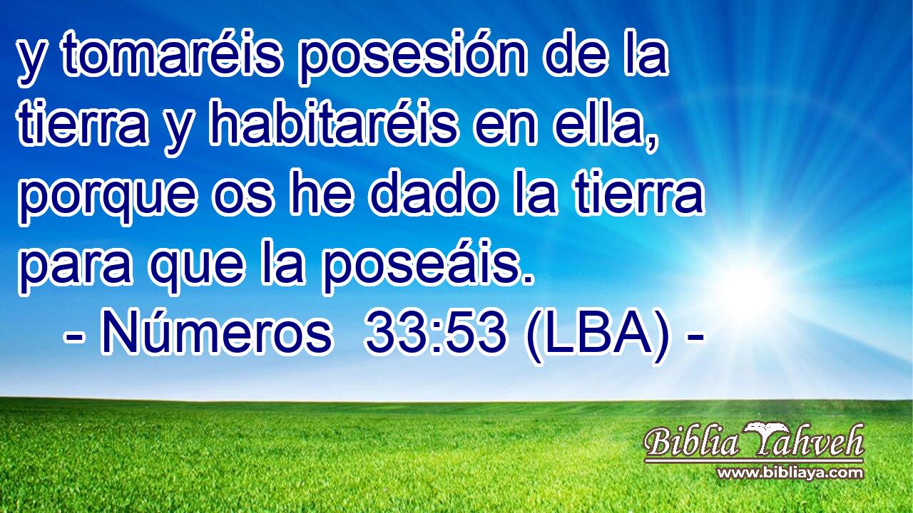 y tomaréis posesión de la tierra y habitaréis en ella, porque os he dado la tierra para que la poseáis.
