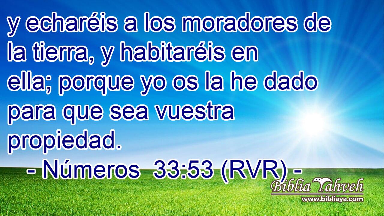 y echaréis a los moradores de la tierra, y habitaréis en ella; porque yo os la he dado para que sea vuestra propiedad.