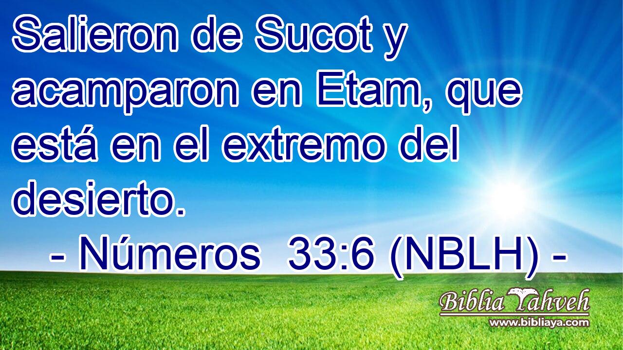  Salieron de Sucot y acamparon en Etam, que está en el extremo del desierto. 