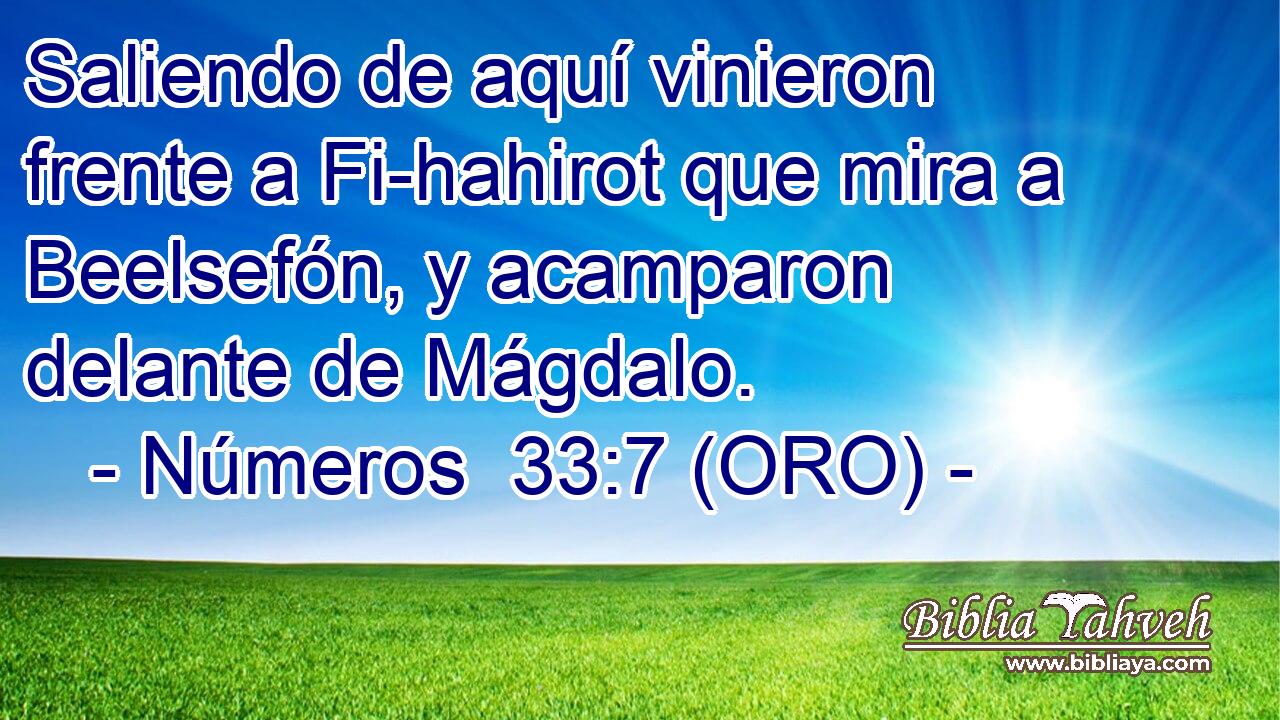  Saliendo de aquí vinieron frente a Fi-hahirot que mira a Beelsefón, y acamparon delante de Mágdalo. 