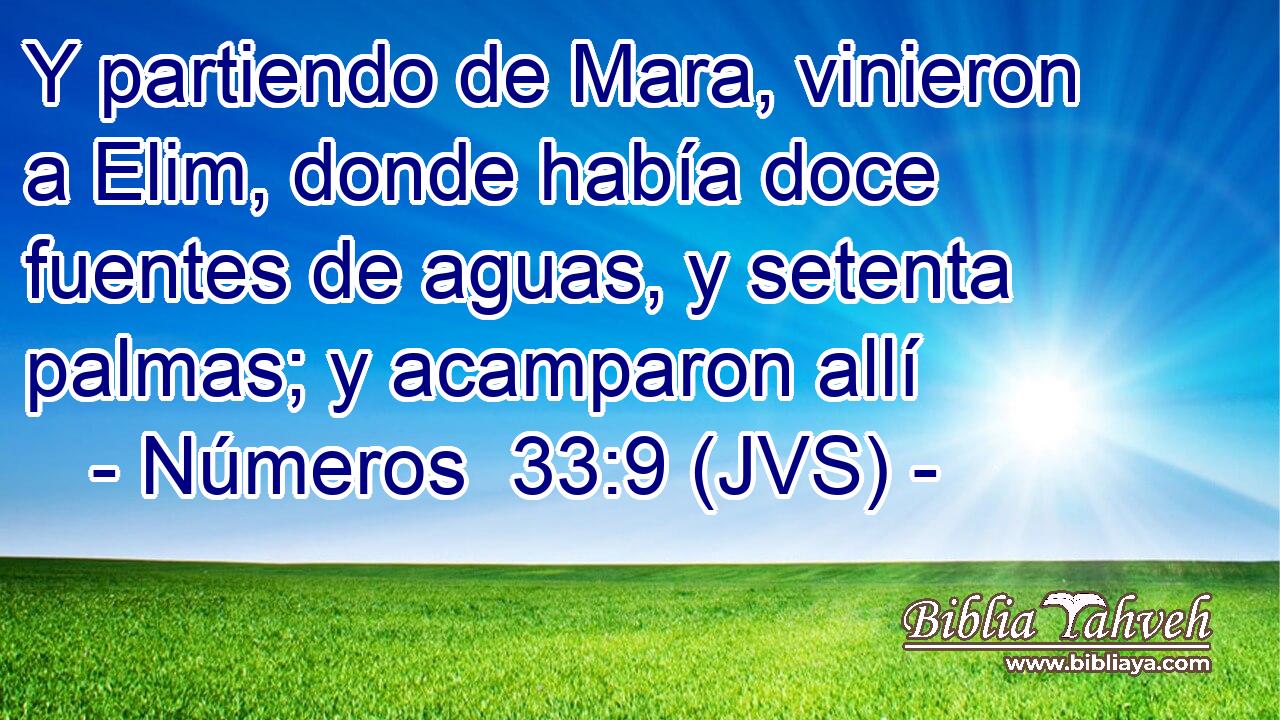 Y partiendo de Mara, vinieron a Elim, donde había doce fuentes de aguas, y setenta palmas; y acamparon allí
