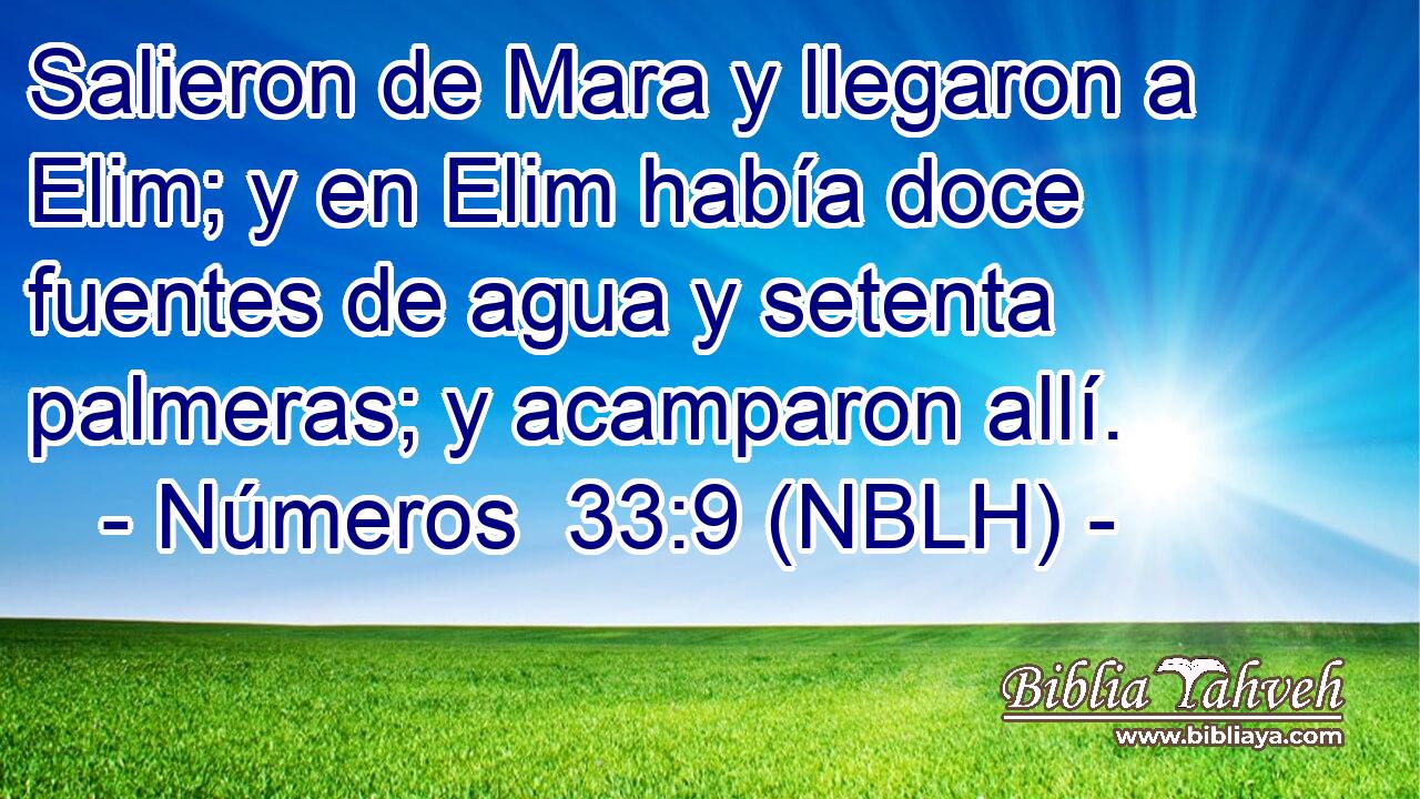  Salieron de Mara y llegaron a Elim; y en Elim había doce fuentes de agua y setenta palmeras; y acamparon allí. 