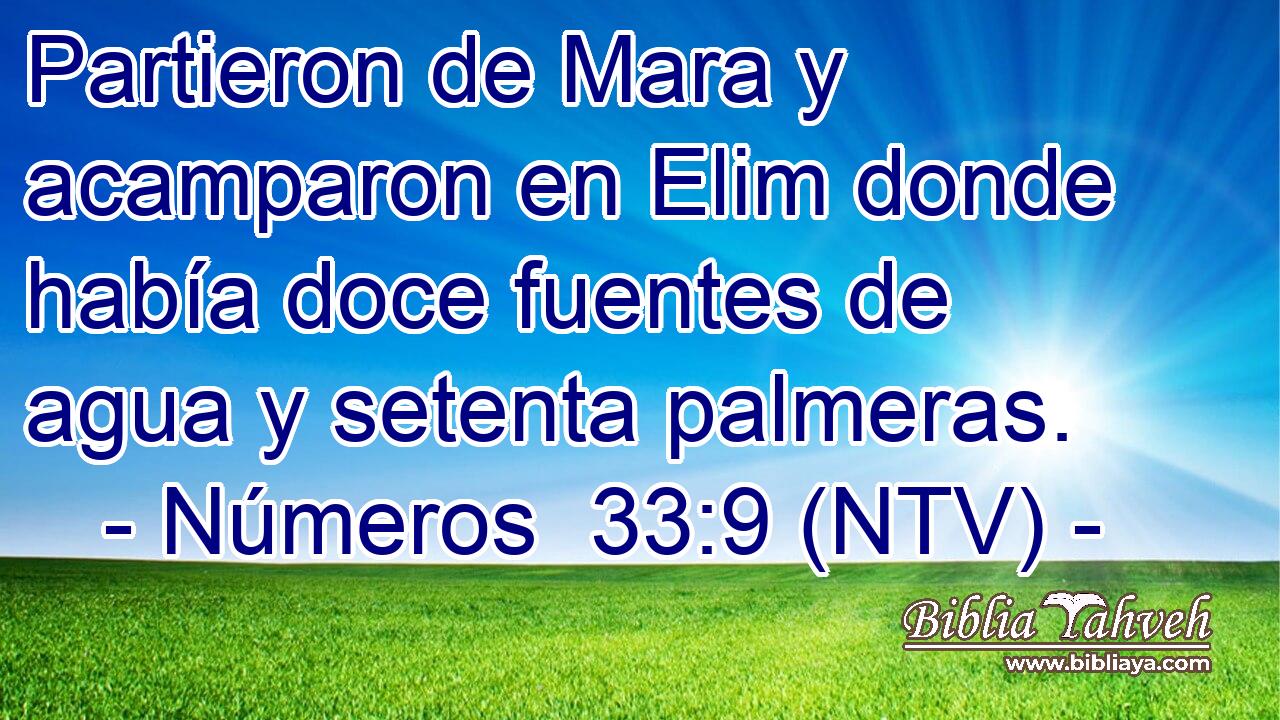 Partieron de Mara y acamparon en Elim donde había doce fuentes de agua y setenta palmeras.