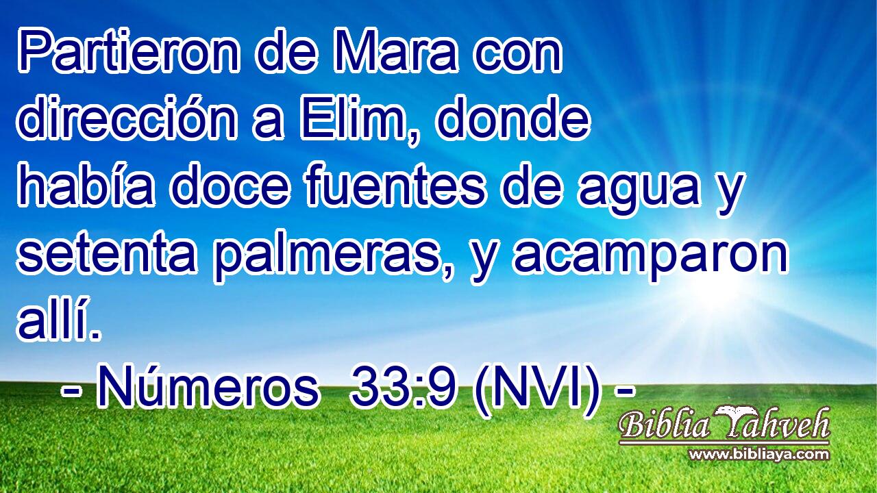  Partieron de Mara con dirección a Elim, donde había doce fuentes de agua y setenta palmeras, y acamparon allí. 