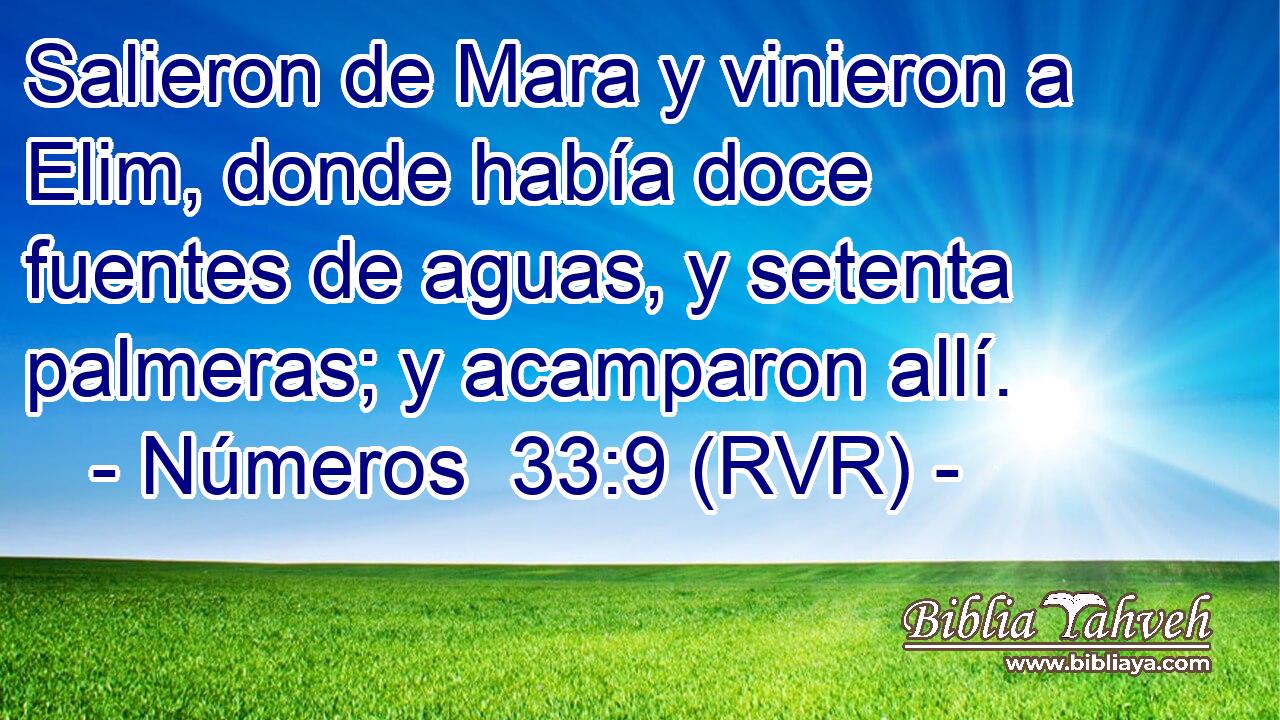 Salieron de Mara y vinieron a Elim, donde había doce fuentes de aguas, y setenta palmeras; y acamparon allí.