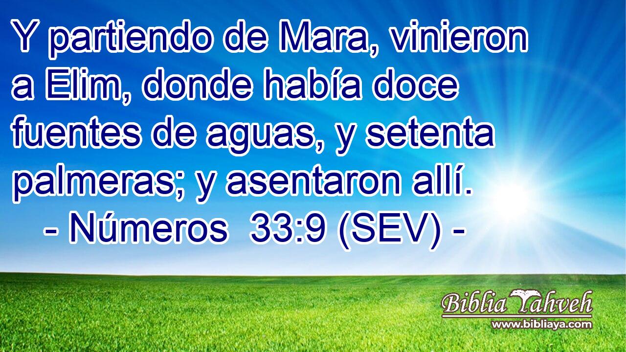 Y partiendo de Mara, vinieron a Elim, donde había doce fuentes de aguas, y setenta palmeras; y asentaron allí.