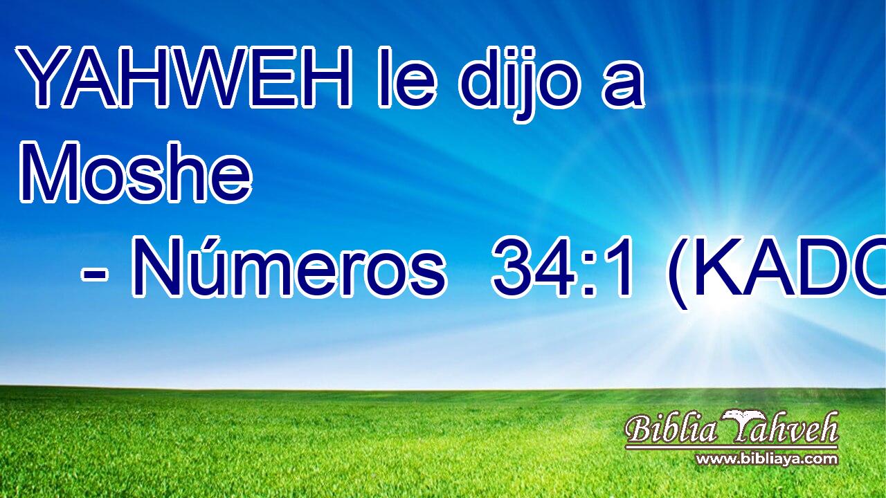  YAHWEH le dijo a Moshe 