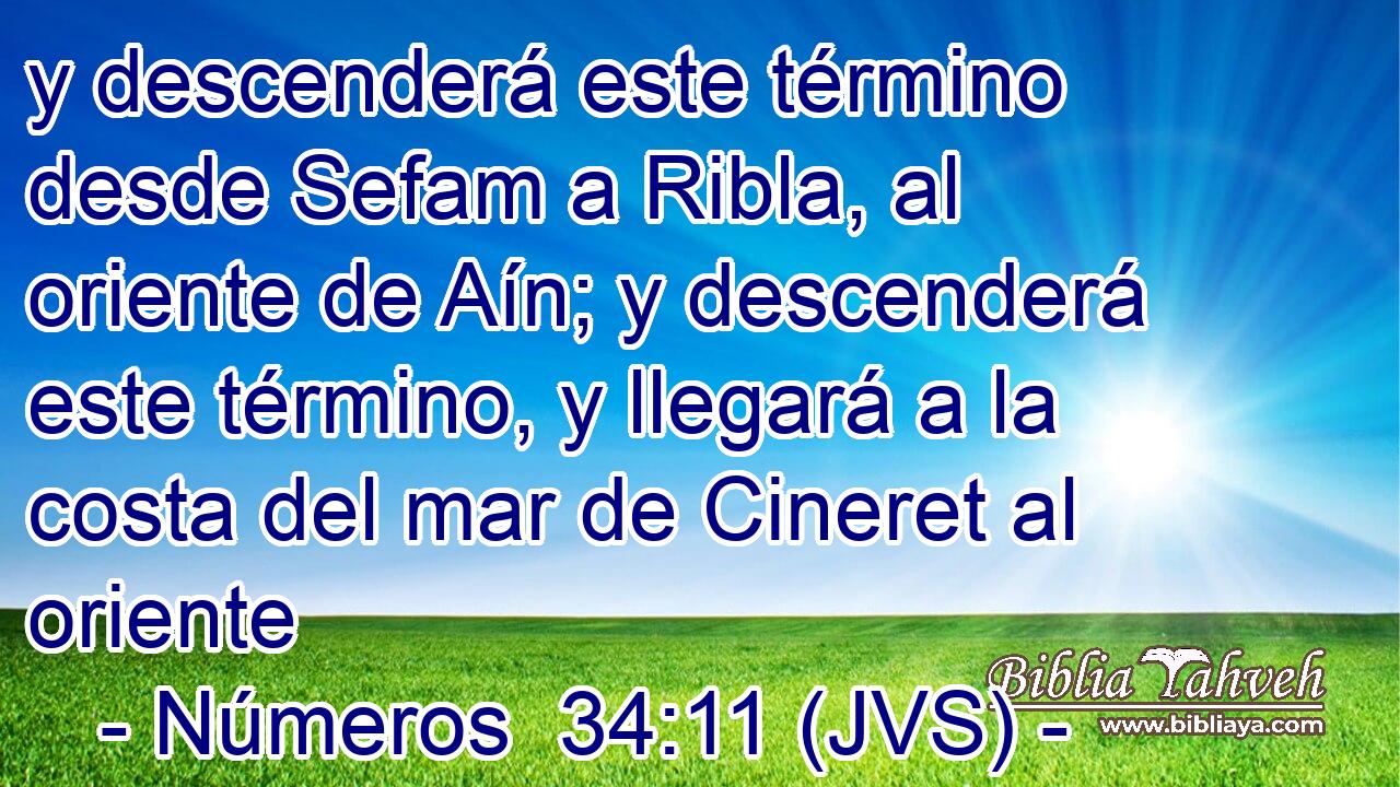 y descenderá este término desde Sefam a Ribla, al oriente de Aín; y descenderá este término, y llegará a la costa del mar de Cineret al oriente