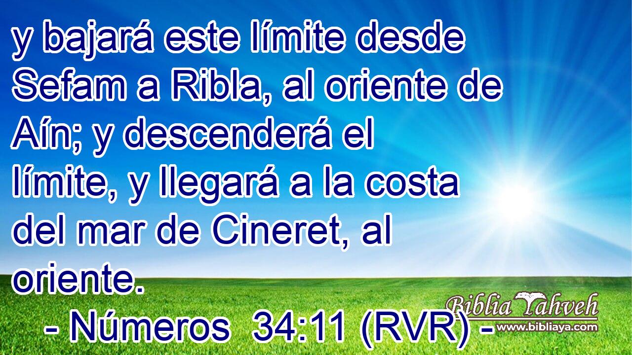 y bajará este límite desde Sefam a Ribla, al oriente de Aín; y descenderá el límite, y llegará a la costa del mar de Cineret, al oriente.