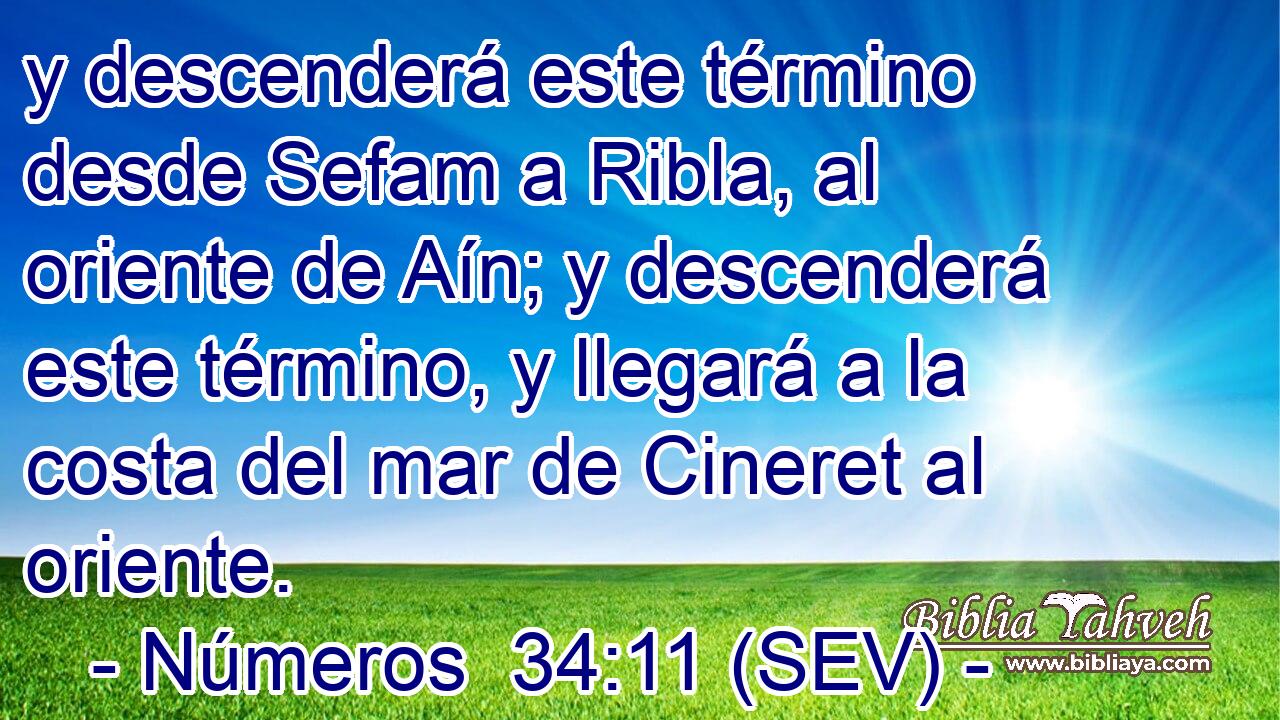 y descenderá este término desde Sefam a Ribla, al oriente de Aín; y descenderá este término, y llegará a la costa del mar de Cineret al oriente.