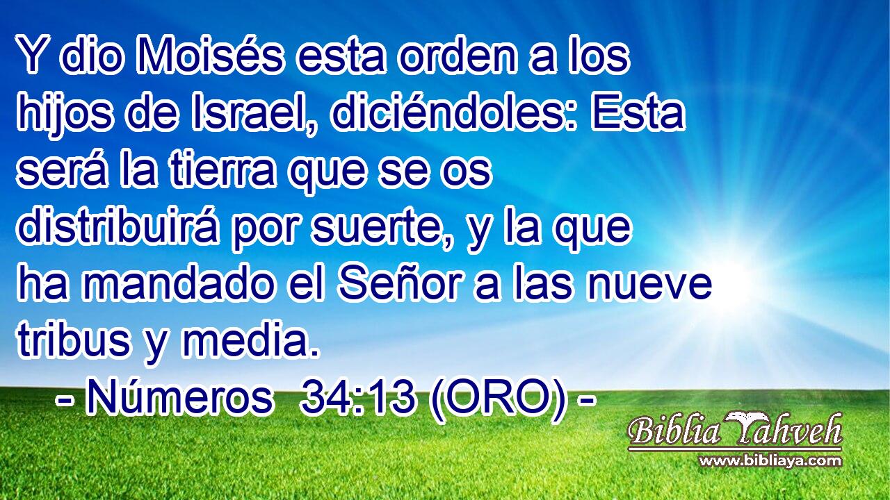  Y dio Moisés esta orden a los hijos de Israel, diciéndoles: Esta será la tierra que se os distribuirá por suerte, y la que ha mandado el Señor a las nueve tribus y media. 