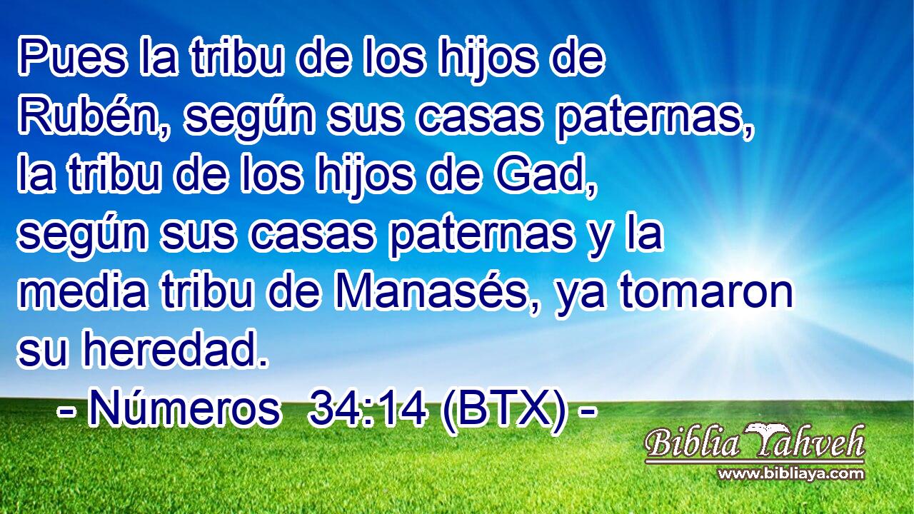 Pues la tribu de los hijos de Rubén, según sus casas paternas, la tribu de los hijos de Gad, según sus casas paternas y la media tribu de Manasés, ya tomaron su heredad.
