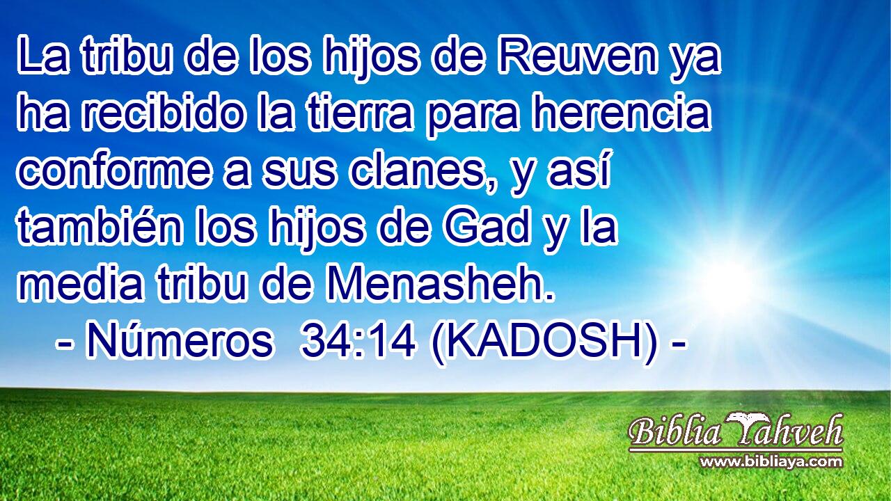  La tribu de los hijos de Reuven ya ha recibido la tierra para herencia conforme a sus clanes, y así también los hijos de Gad y la media tribu de Menasheh. 