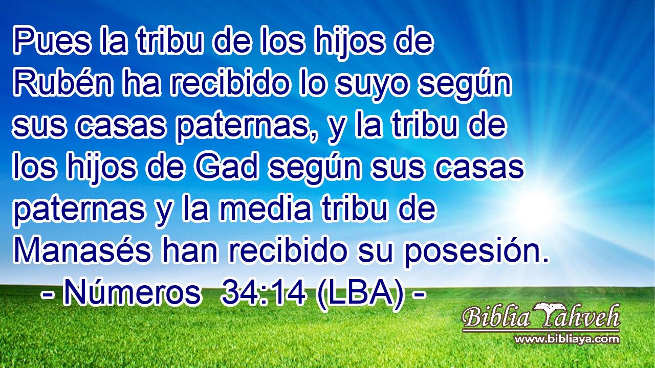 Pues la tribu de los hijos de Rubén ha recibido lo suyo según sus casas paternas, y la tribu de los hijos de Gad según sus casas paternas y la media tribu de Manasés han recibido su posesión.