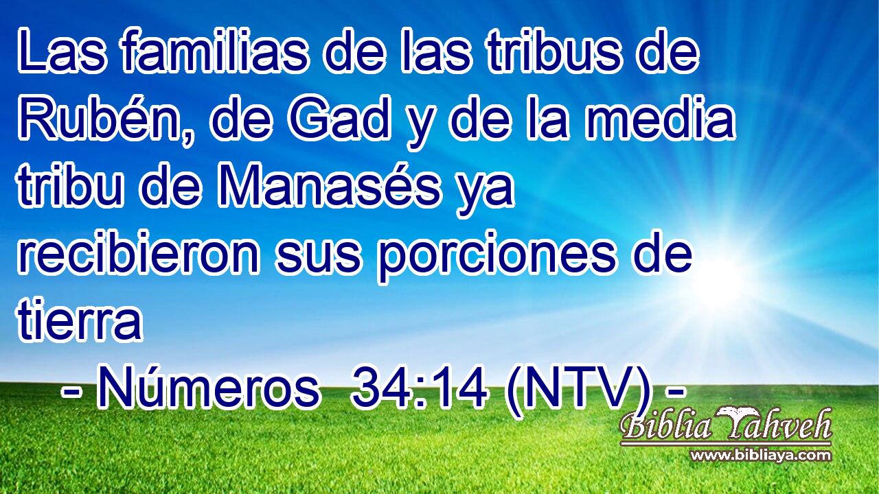 Las familias de las tribus de Rubén, de Gad y de la media tribu de Manasés ya recibieron sus porciones de tierra
