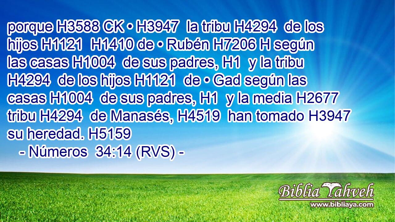 porque H3588 CK • H3947  la tribu H4294  de los hijos H1121  H1410 de • Rubén H7206 H según las casas H1004  de sus padres, H1  y la tribu H4294  de los hijos H1121  de • Gad según las casas H1004  de sus padres, H1  y la media H2677  tribu H4294  de Manasés, H4519  han tomado H3947  su heredad. H5159  