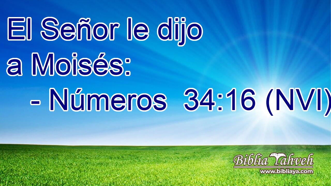  El Señor le dijo a Moisés: 