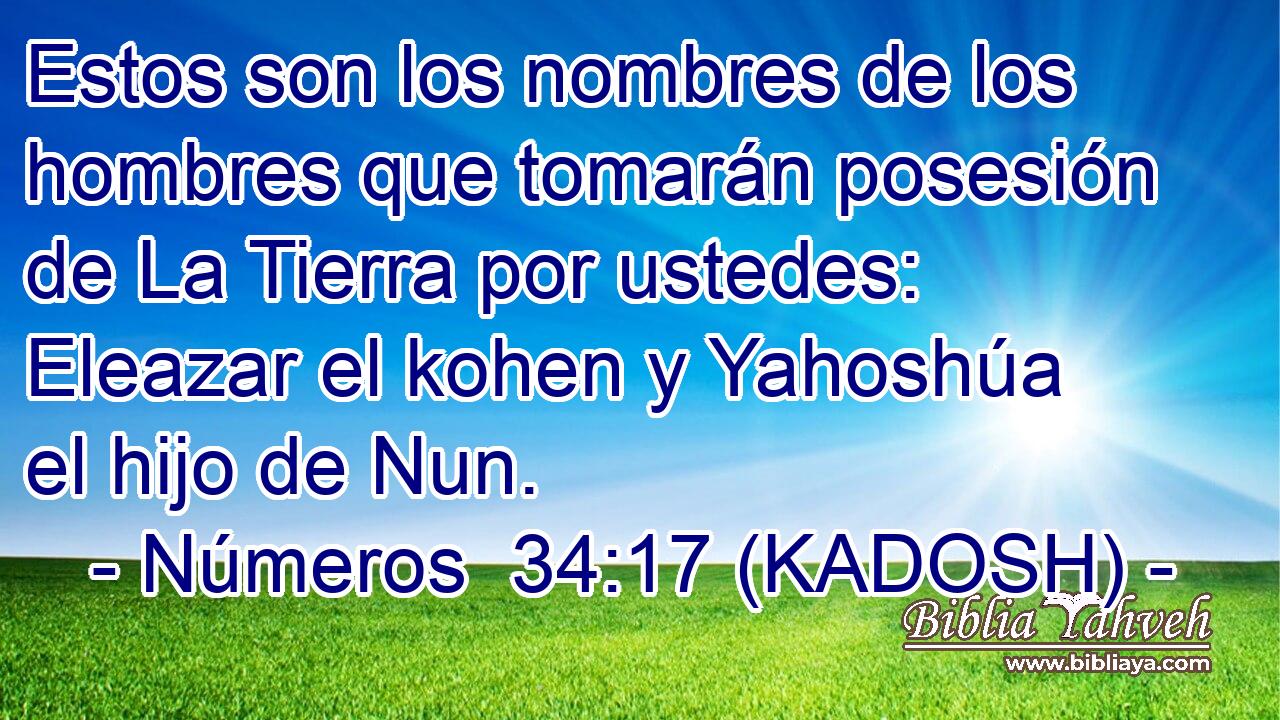  Estos son los nombres de los hombres que tomarán posesión de La Tierra por ustedes: Eleazar el kohen y Yahoshúa el hijo de Nun. 
