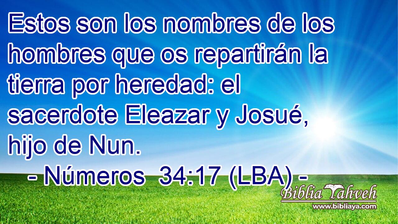 Estos son los nombres de los hombres que os repartirán la tierra por heredad: el sacerdote Eleazar y Josué, hijo de Nun.