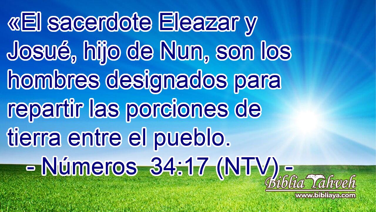 «El sacerdote Eleazar y Josué, hijo de Nun, son los hombres designados para repartir las porciones de tierra entre el pueblo.