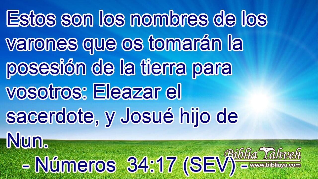 Estos son los nombres de los varones que os tomarán la posesión de la tierra para vosotros: Eleazar el sacerdote, y Josué hijo de Nun.