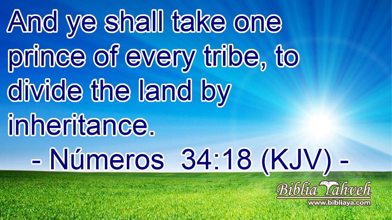 And ye shall take one prince of every tribe, to divide the land by inheritance.