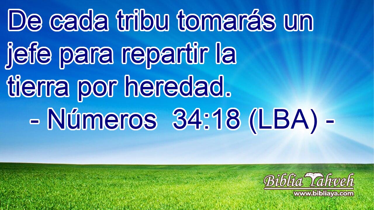 De cada tribu tomarás un jefe para repartir la tierra por heredad.