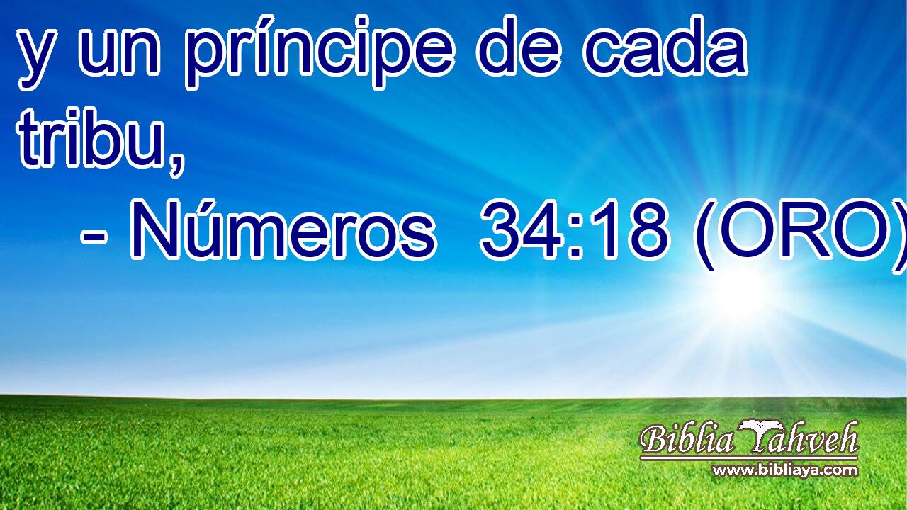  y un príncipe de cada tribu, 