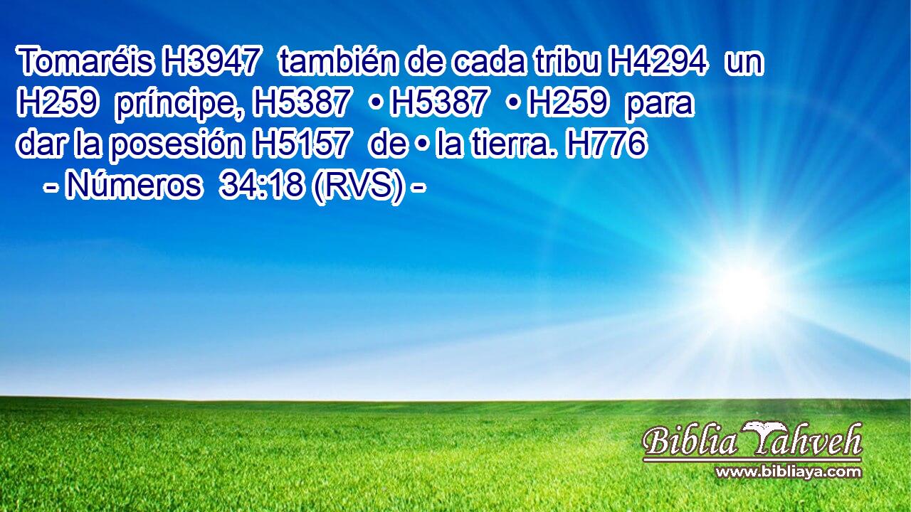 Tomaréis H3947  también de cada tribu H4294  un H259  príncipe, H5387  • H5387  • H259  para dar la posesión H5157  de • la tierra. H776  