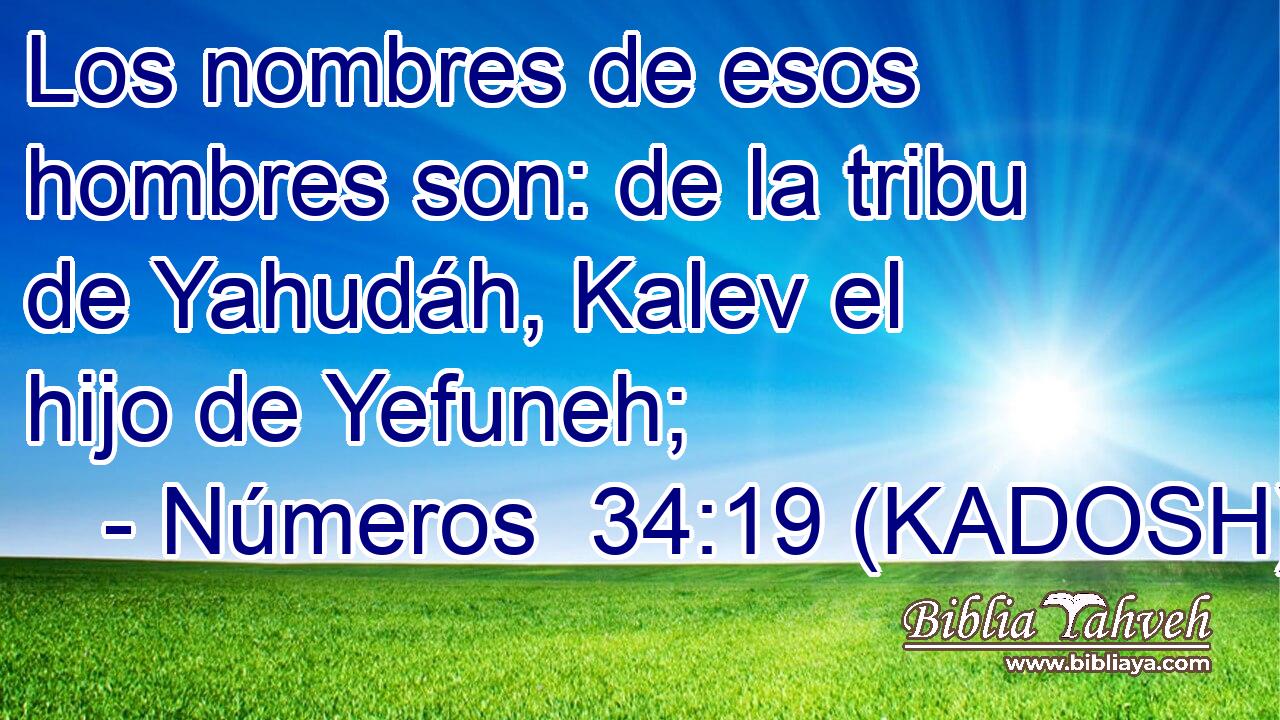  Los nombres de esos hombres son: de la tribu de Yahudáh, Kalev el hijo de Yefuneh; 