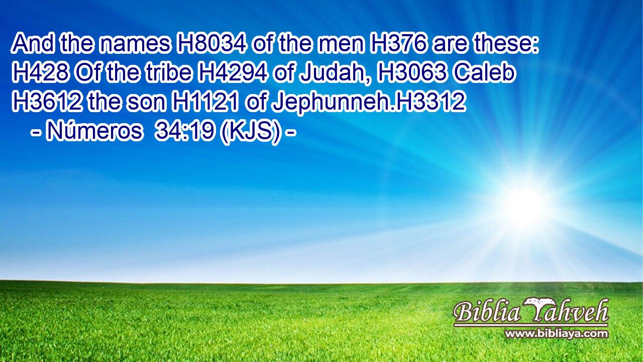 And the names H8034 of the men H376 are these: H428 Of the tribe H4294 of Judah, H3063 Caleb H3612 the son H1121 of Jephunneh.H3312