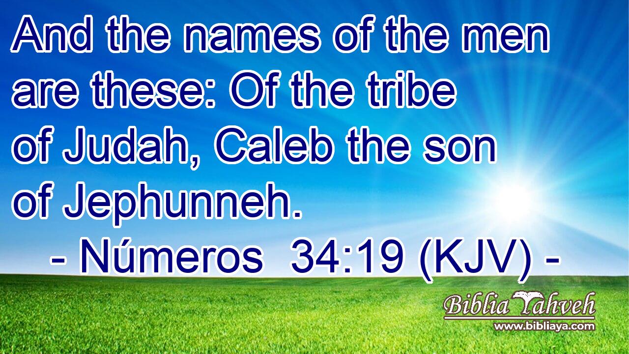 And the names of the men are these: Of the tribe of Judah, Caleb the son of Jephunneh.