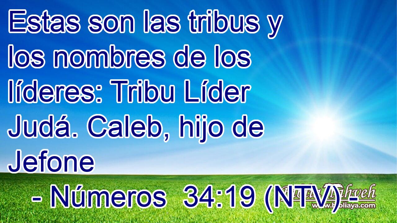 Estas son las tribus y los nombres de los líderes: Tribu Líder Judá. Caleb, hijo de Jefone