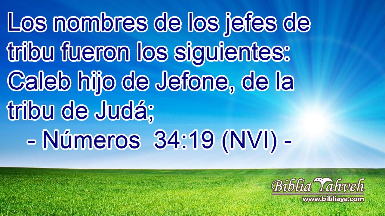  Los nombres de los jefes de tribu fueron los siguientes: Caleb hijo de Jefone, de la tribu de Judá; 