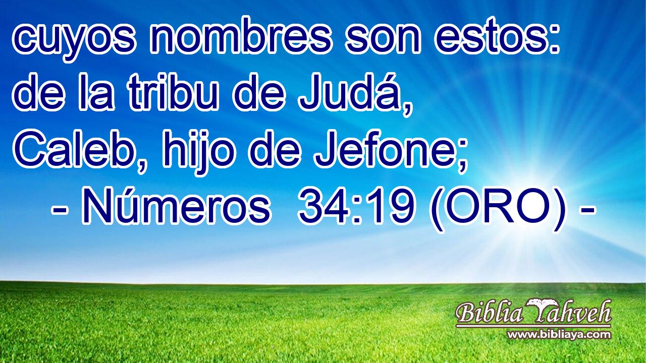  cuyos nombres son estos: de la tribu de Judá, Caleb, hijo de Jefone; 