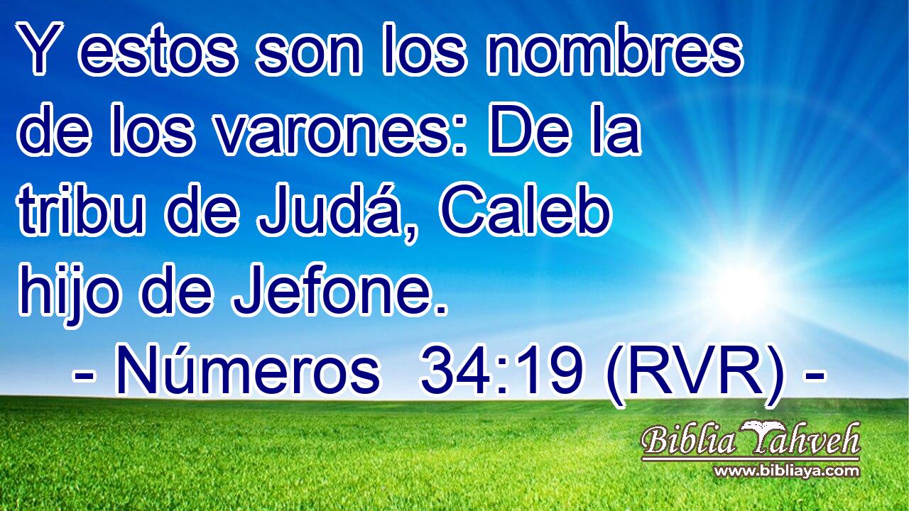 Y estos son los nombres de los varones: De la tribu de Judá, Caleb hijo de Jefone.