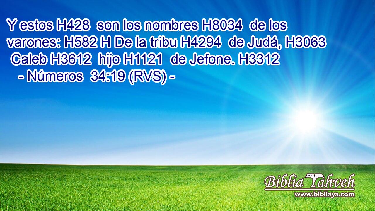 Y estos H428  son los nombres H8034  de los varones: H582 H De la tribu H4294  de Judá, H3063  Caleb H3612  hijo H1121  de Jefone. H3312  