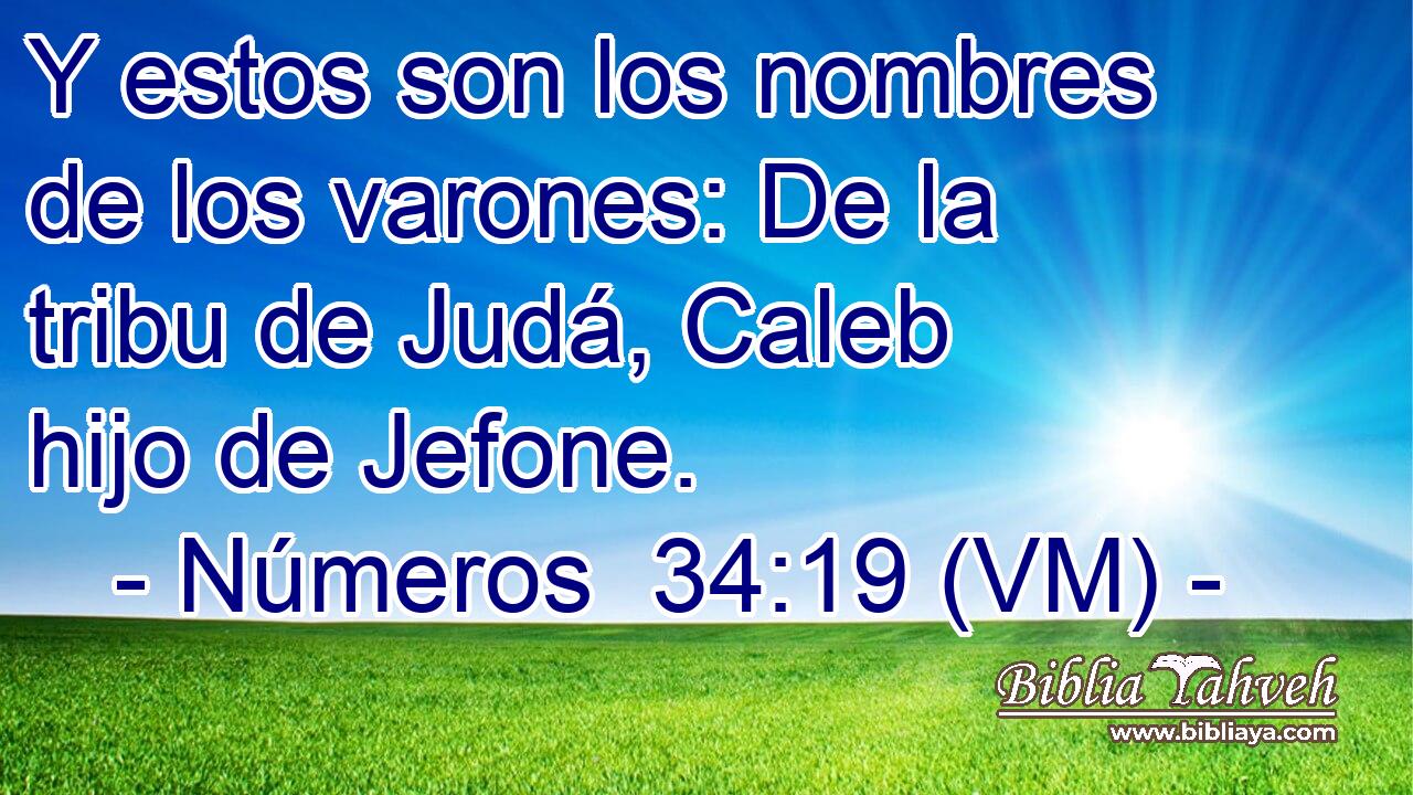  Y estos son los nombres de los varones: De la tribu de Judá, Caleb hijo de Jefone. 